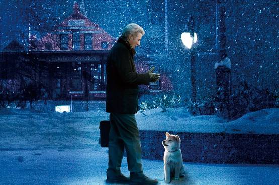 5 film sull'amore per gli animali - Prima puntata
