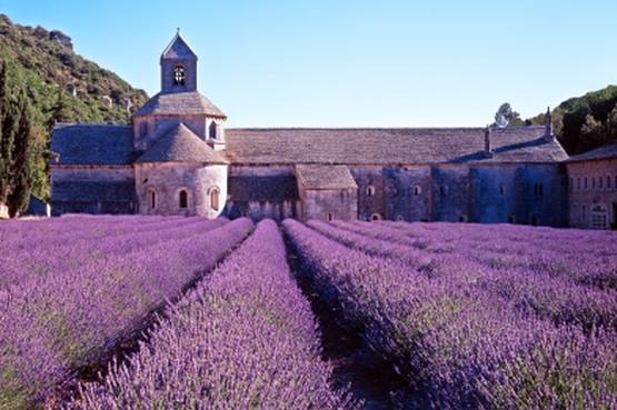 In viaggio in Provenza, tra campi di lavanda e magici castelli
