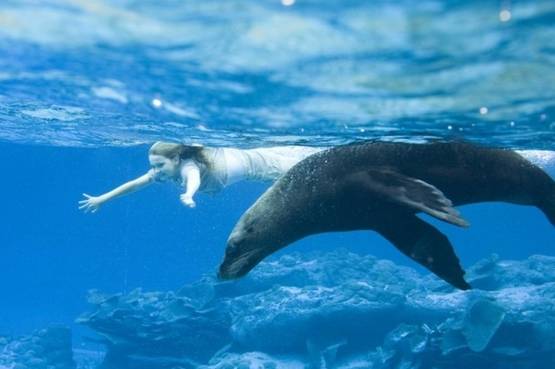 5 film per tutta la famiglia - Prima puntata