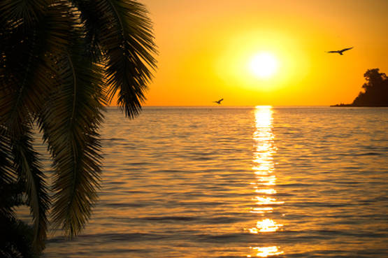 10 canzoni internazionali da ascoltare davanti al tramonto - Prima puntata