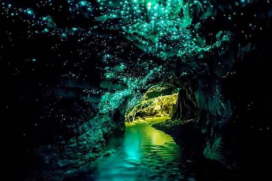 Le grotte luminose di Waitomo, dove la magia diventa realtà