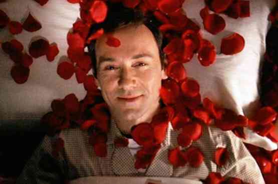 American beauty