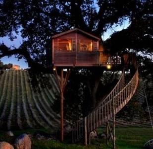 Un weekend nella casa sull'albero nella zona di Viterbo
