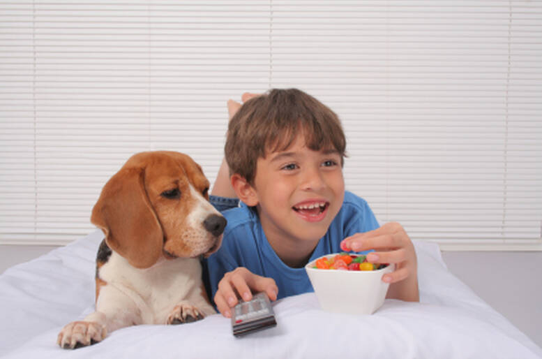 Con un animale domestico può tornare a vivere il bambino che c'è in te