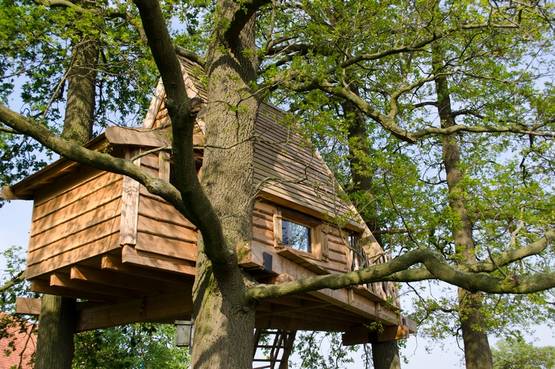 Dalla capanna alla suite sull'albero: emozioni tra le fronde