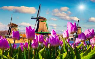 Dormire in un mulino a vento, dove passato e presente si fondono nella natura