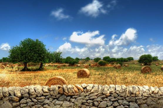 Paesaggio siciliano