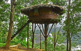 Una casa sull'albero tra natura e relax