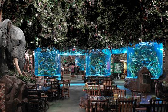 Cenare all'interno di una foresta pluviale: l'esperienza culinaria del Rainforest Café