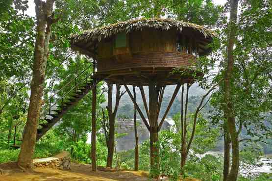 Una casa sull'albero tra natura e relax