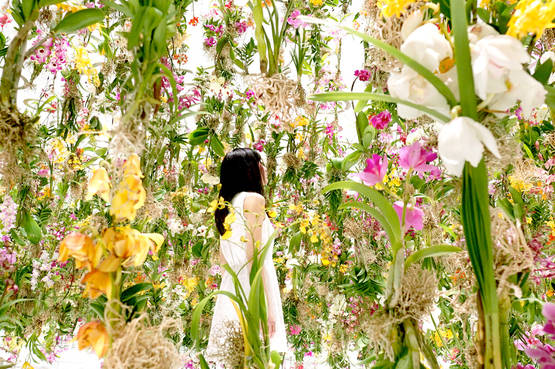 Nel Floating Flower Garden ci si può immergere in paradiso fiorito