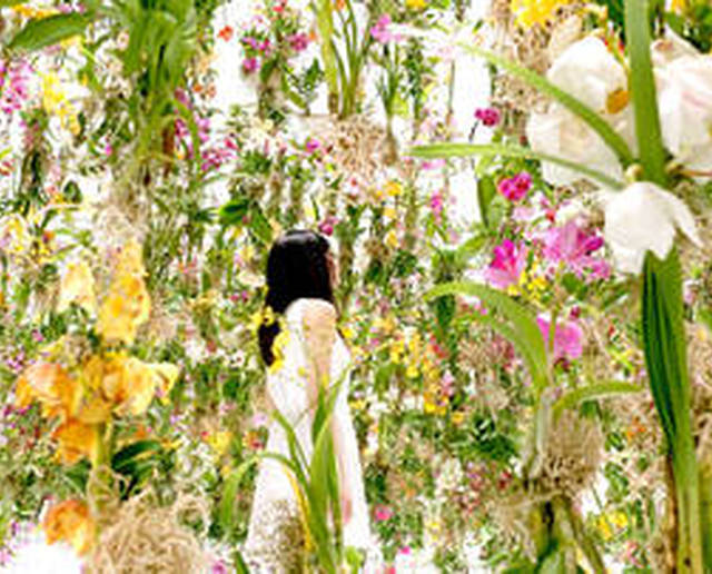 Nel Floating Flower Garden ci si può immergere in paradiso fiorito