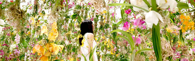 Nel Floating Flower Garden ci si può immergere in paradiso fiorito