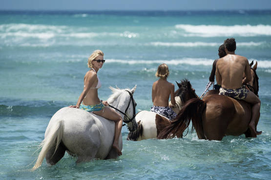 Nuotare con i cavalli: l'esperienza esclusiva proposta dall'Half Moon Resort in Giamaica