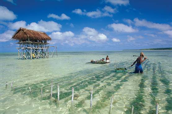 L'arcipelago di Kiribati, un vero e proprio paradiso tropicale nelle acque dell'oceano Pacifico