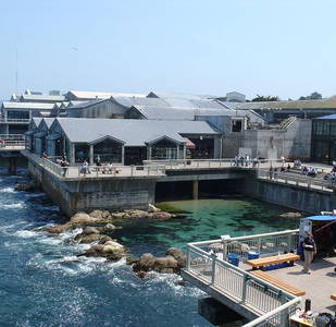 Visita Monterey (California) e scopri il primo ristorante Bubba Gump