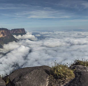 La tua avventura in Venezuela