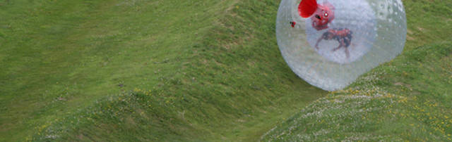 Zorbing: risate ed emozioni rotolando in una palla gigante