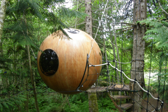 In Canada puoi dormire in una casa sull'albero molto speciale