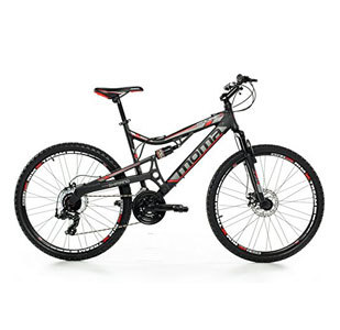 Moma Bike