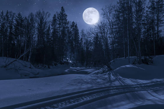 Un percorso romantico in motoslitta al chiaro di luna