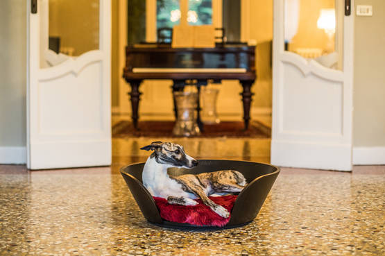 Un matrimonio indimenticabile con un ospite d’onore