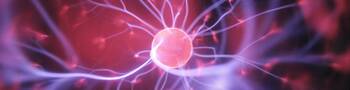 Scienziato per un giorno al CERN di Ginevra