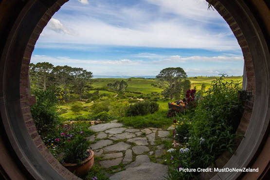 Il viaggio in Nuova Zelanda è vicino? Non perdere le meraviglie del Woodlyn Park