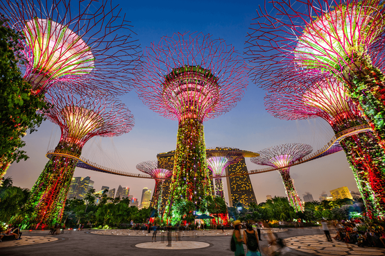 Al Gardens by the Bay di Singapore, tra giardini mirabolanti e alberi giganti