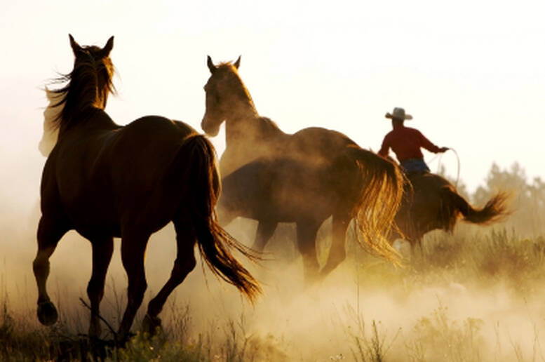 Una settimana in un ranch del Far West: vita da cowboy!
