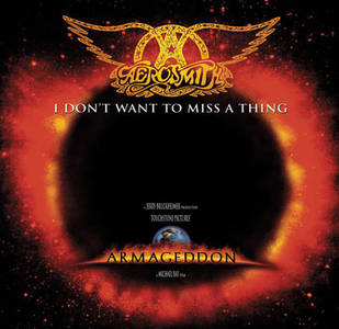 I don't want to miss a thing