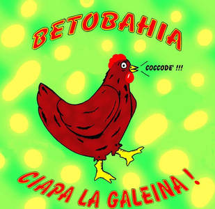 Ciapa la galeina